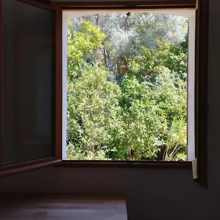 Holiday home Vasandries Ollioules